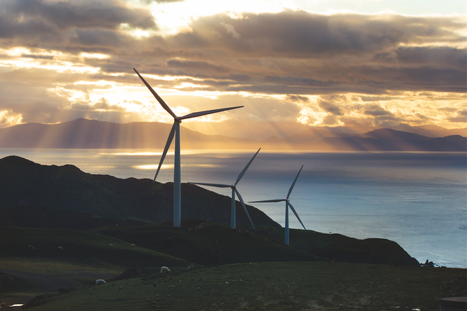 The Makara Wind Farm in Wellington.
