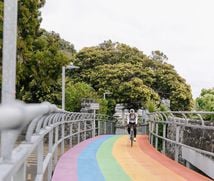 A cyclist biking along a rainbow bridge.