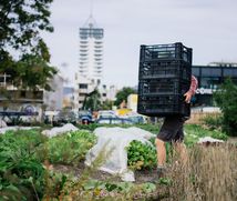 A worker carrying boxes of vegetables.