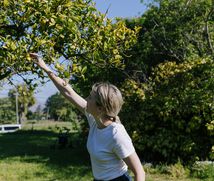 A woman picking fruit.