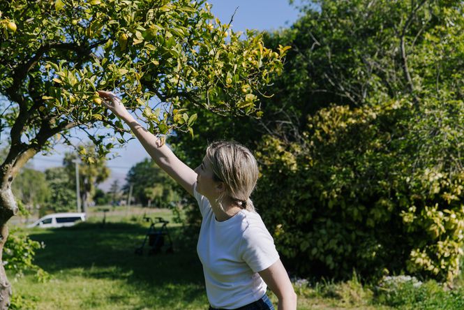 A woman picking fruit.