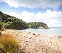 The beach at Kauri Point Domain.