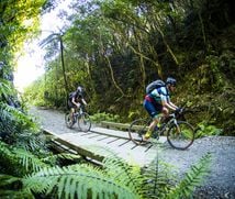 Cycling in the Remutaka Forest Park.