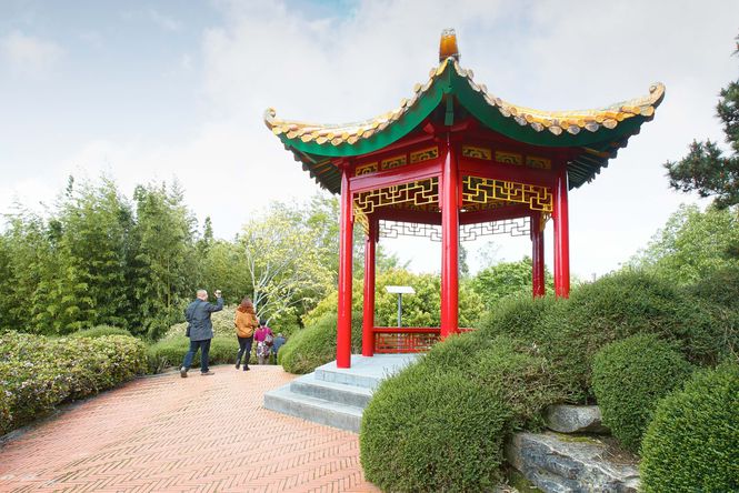 Chinese Scholars’ Garden in Hamilton Gardens.