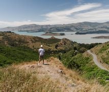 A man standing on the Port Hills.