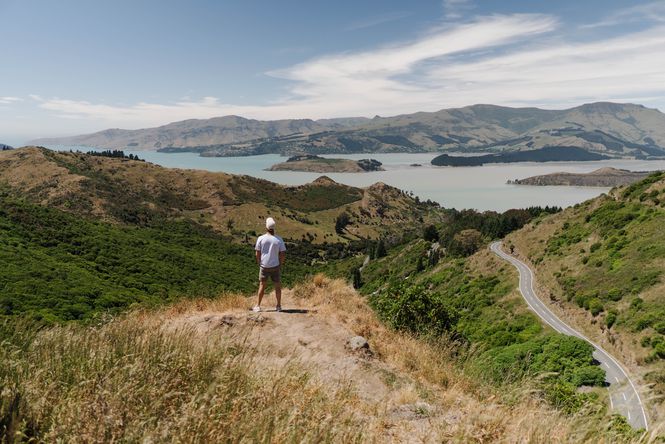 A man standing on the Port Hills.