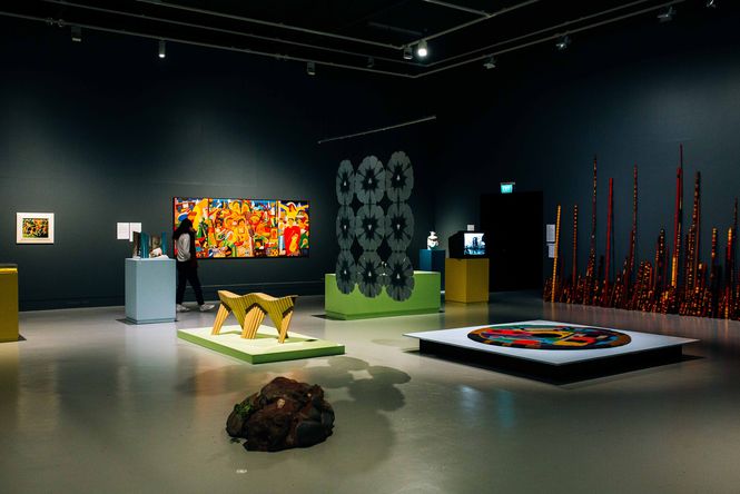 A gallery exhibition inside The Dowse.