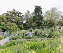 The gardens at Sanctuary Mahi Whenua Community Gardens.